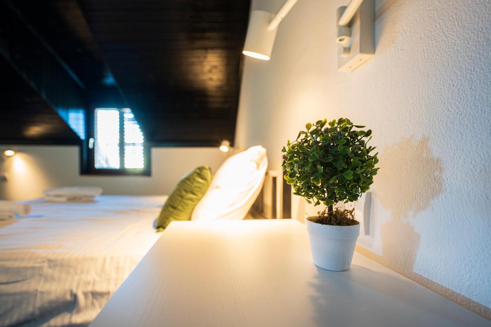 Cozy Nook B&B - Free Private Parking โนวีซาด ภายนอก รูปภาพ